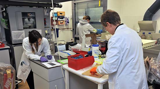 Analysts, Research, and Scientific support