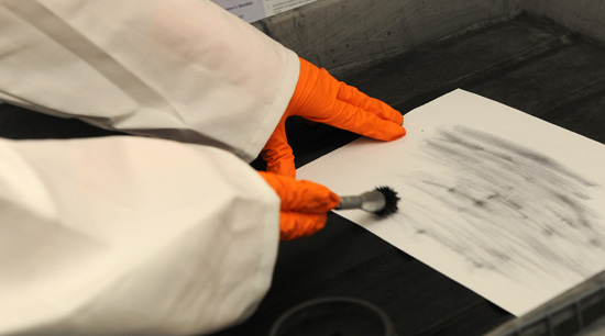 Forensics and Investigations