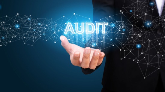 Audit and Assurance Board